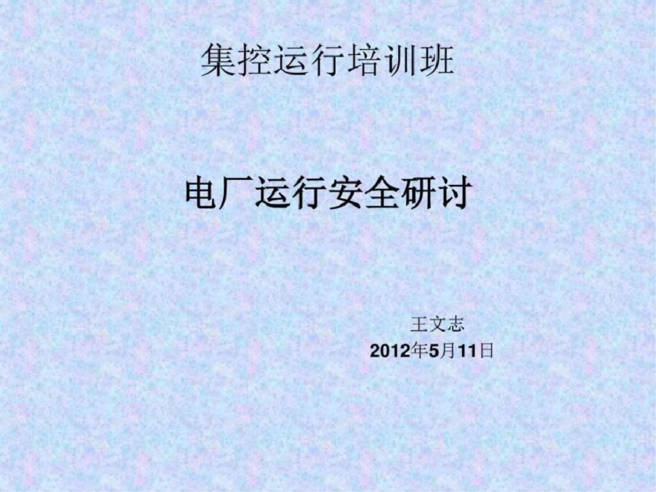 电厂运行安全研讨图文.ppt文档资料_第1页