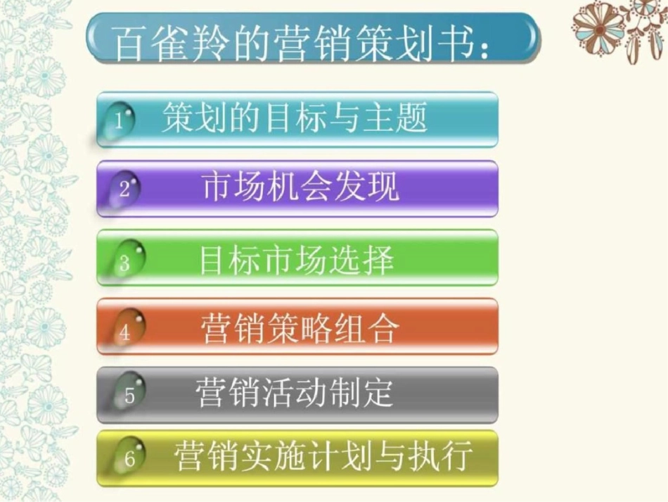 百雀羚营销策划书营销活动策划计划解决方案实用文档.ppt文档资料_第2页