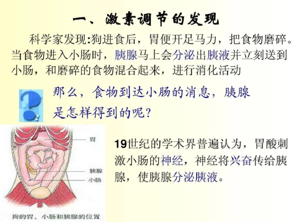 必修三通过激素的调节_第2页