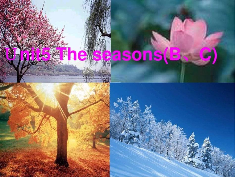 牛津苏教六下Unit5Theseasons课件之四_第1页