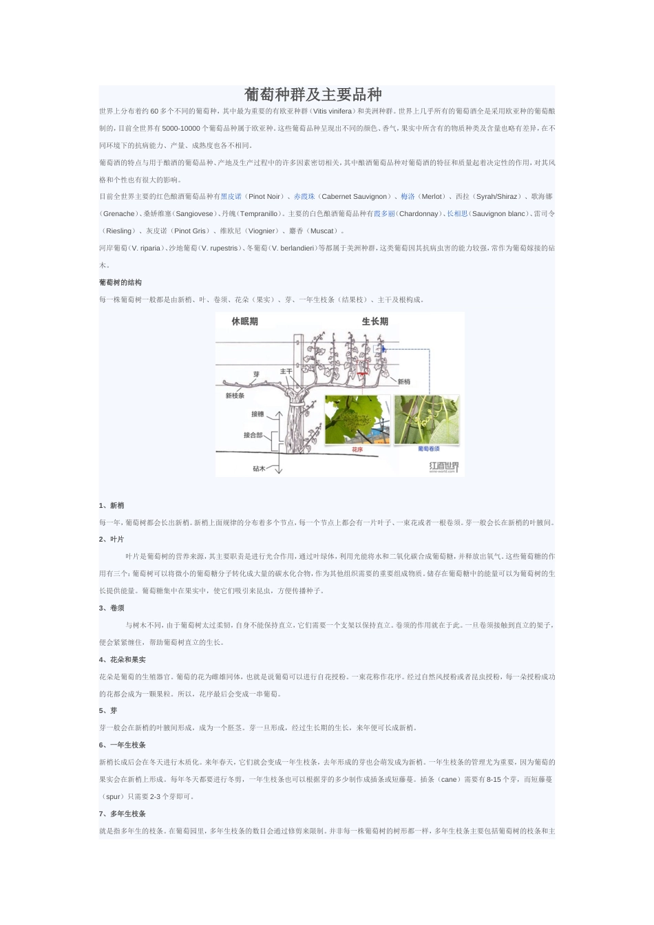 WSET3级高级教程[共78页]_第1页