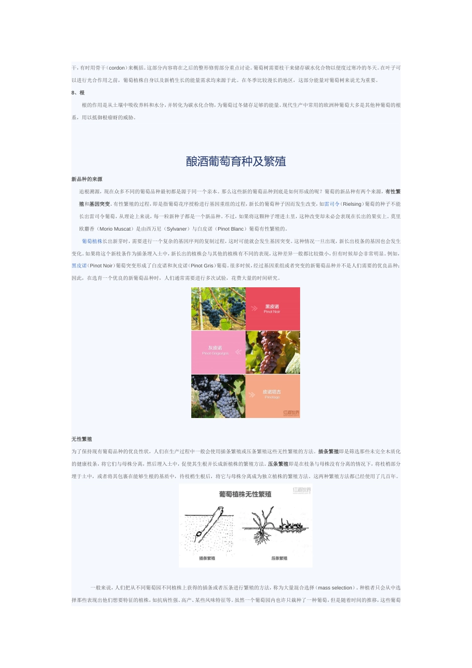 WSET3级高级教程[共78页]_第2页