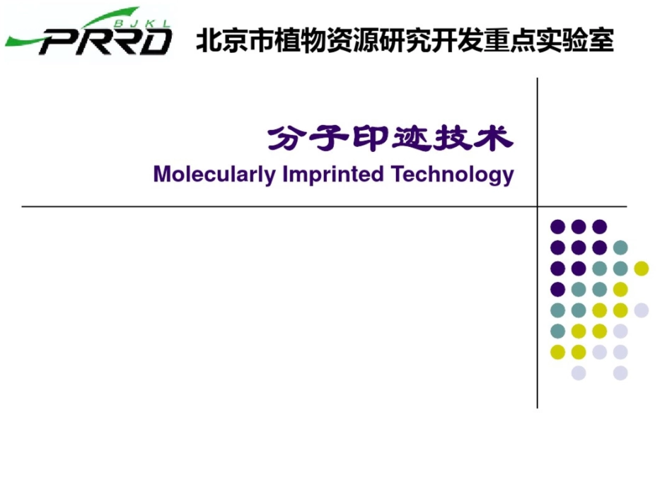 分子印迹技术[共29页]_第1页