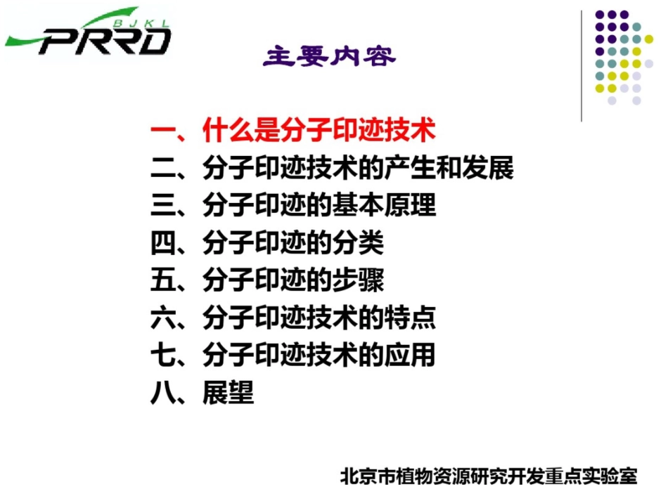 分子印迹技术[共29页]_第2页