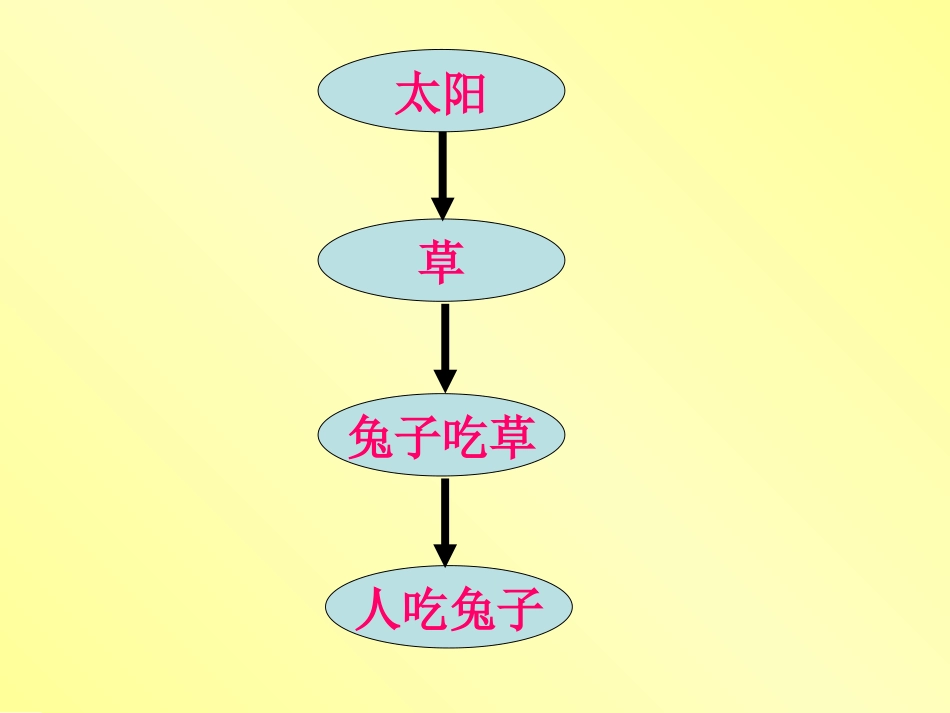 能源革命——能量转化技术给人类带来的便利_第3页