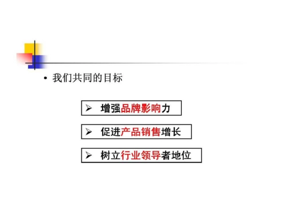 神州数码管理系统有限公司整合营销传播策略方案_第2页