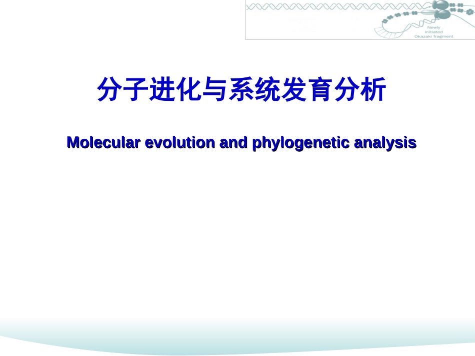 分子进化概况与系统发育分析_第1页