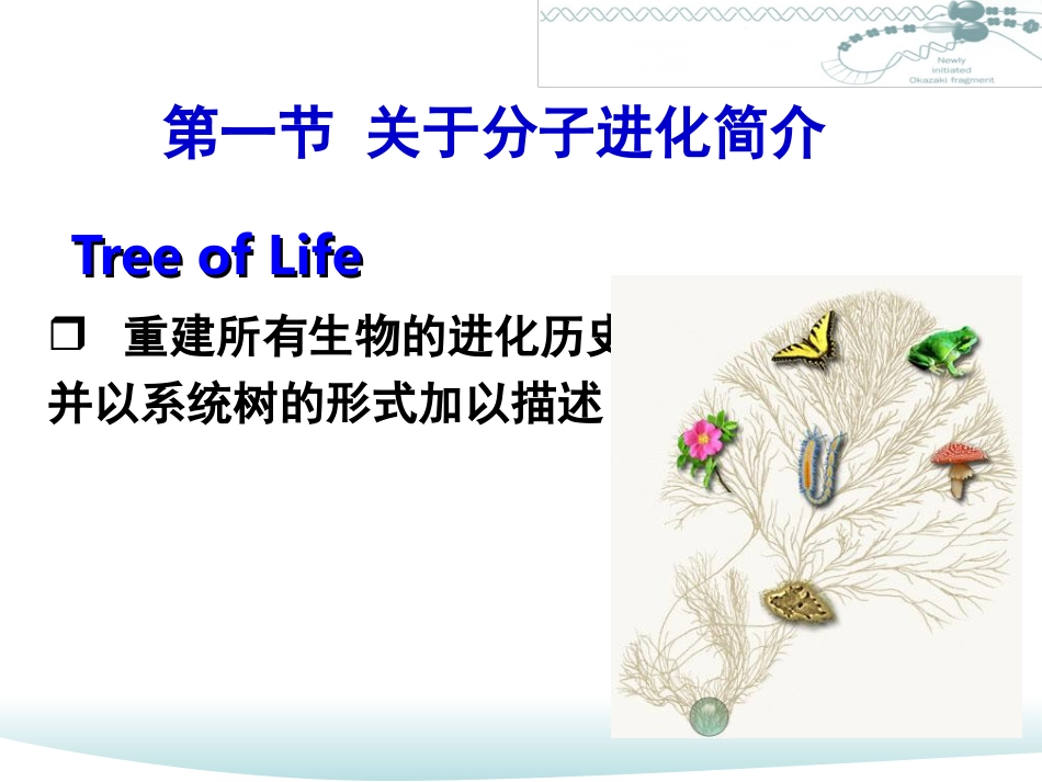 分子进化概况与系统发育分析_第3页