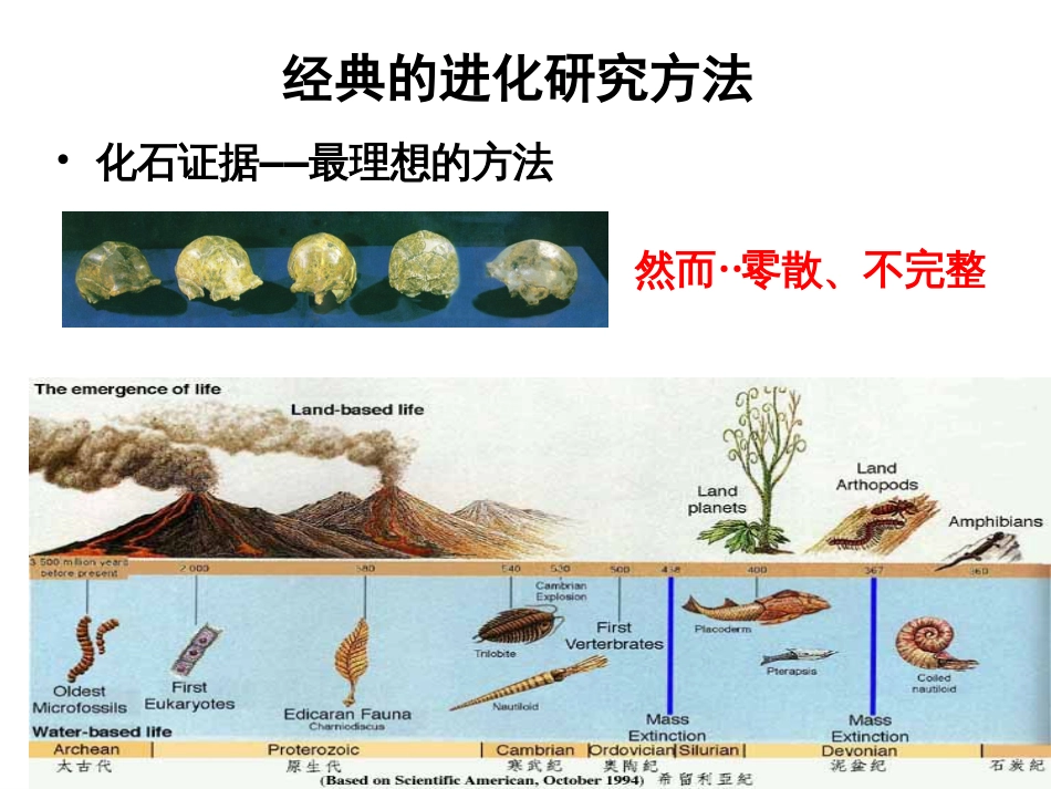 分子进化和系统发育[共91页]_第3页