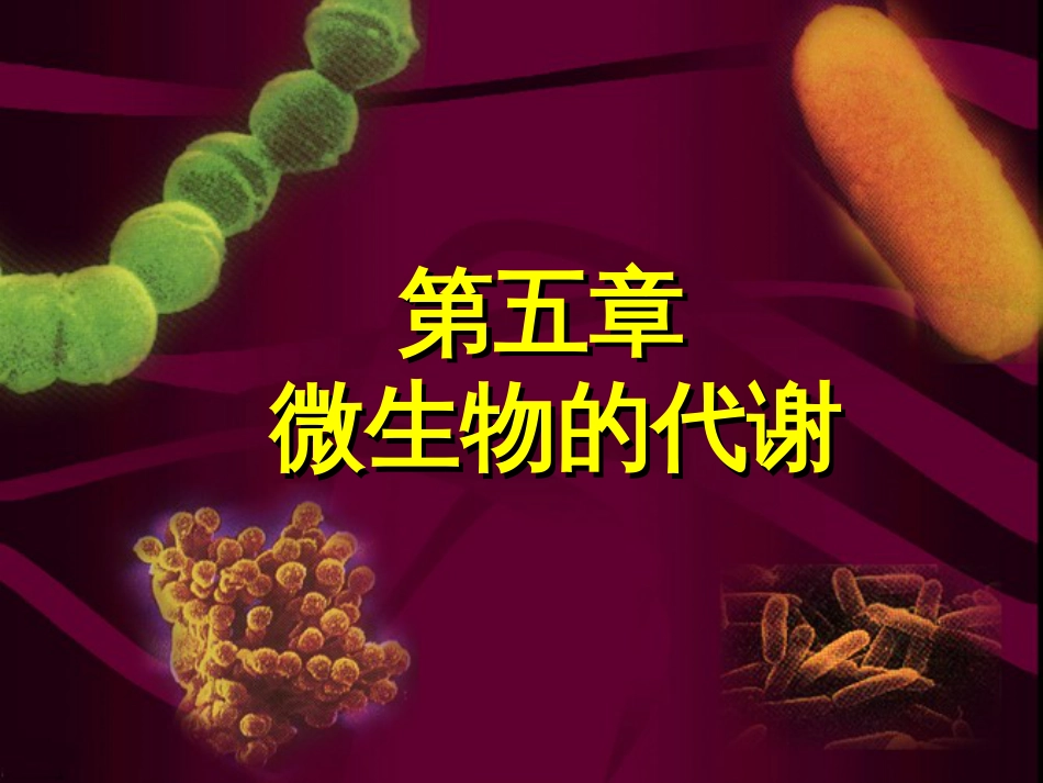 第五章微生物的代谢资料_第1页