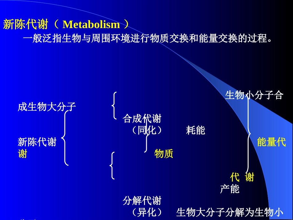 第五章微生物的代谢资料_第2页