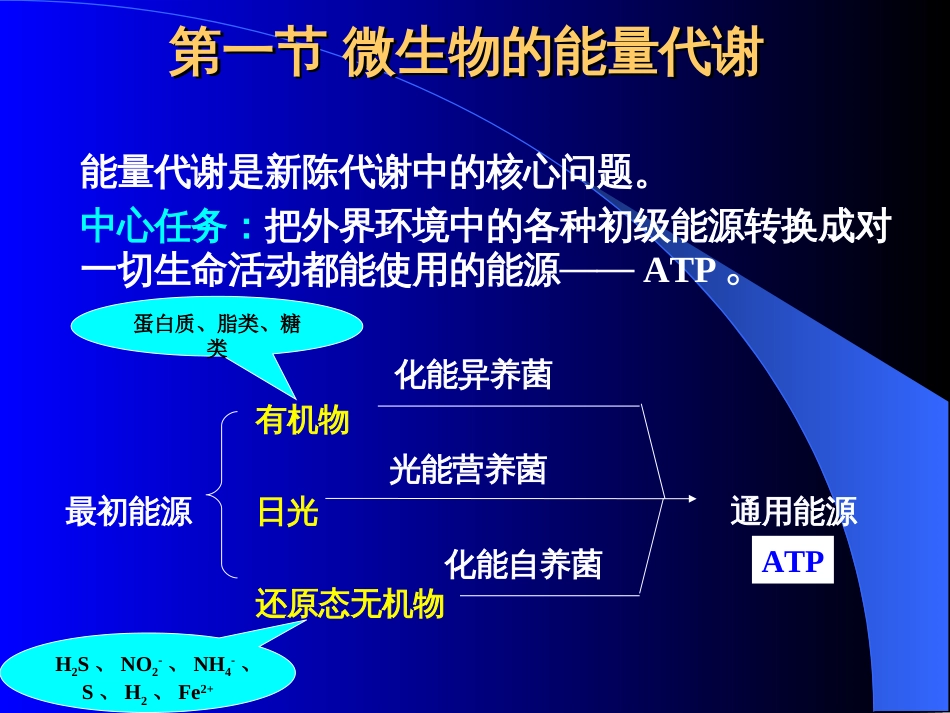 第五章微生物的代谢资料_第3页