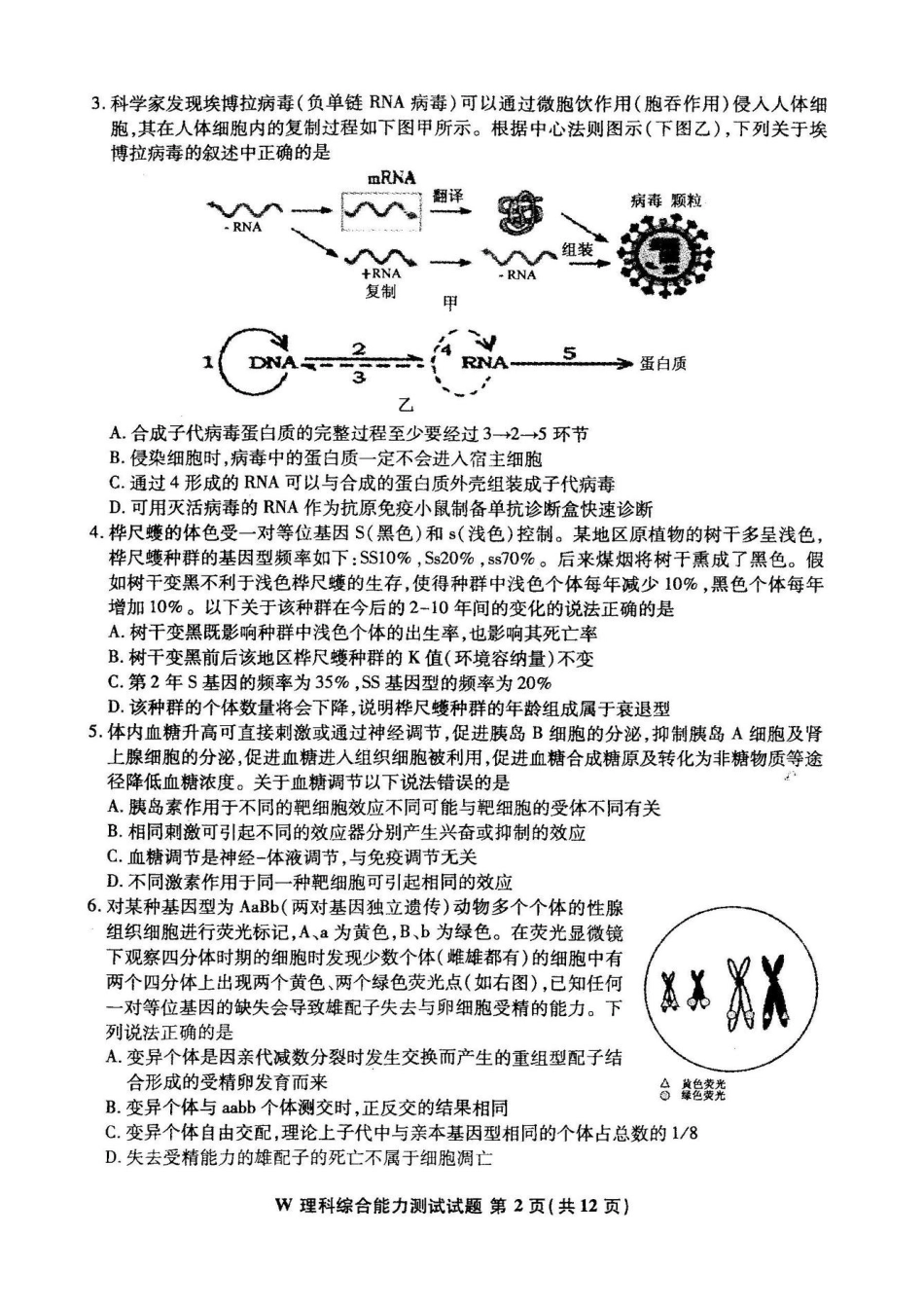 安徽省“江南十校”高三联考理综试题及答案_第2页