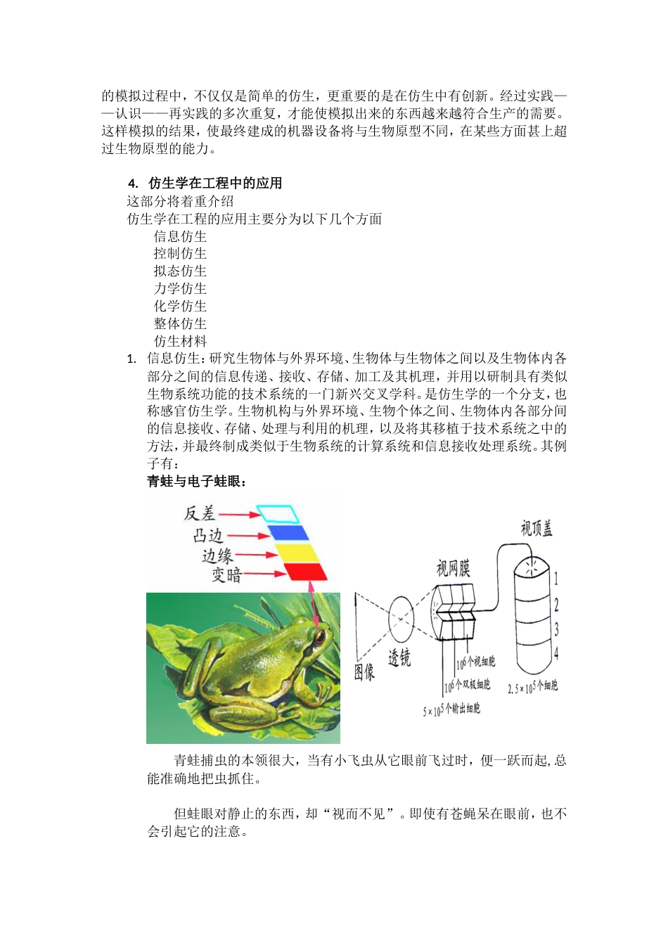 仿生学介绍报告_第3页