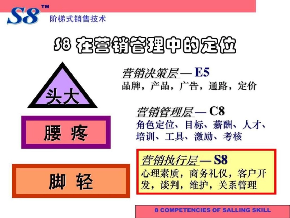 经典培训讲义《阶梯式销售技巧》ppt195文档资料_第3页