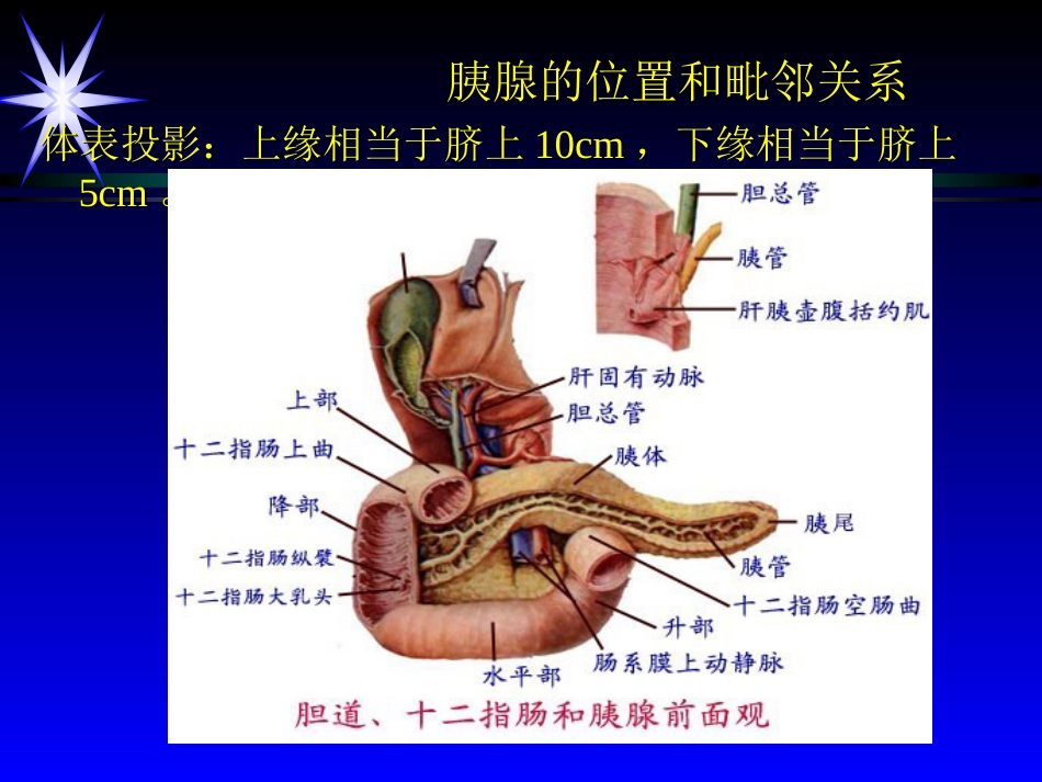 第九篇胰腺超声诊断_第3页