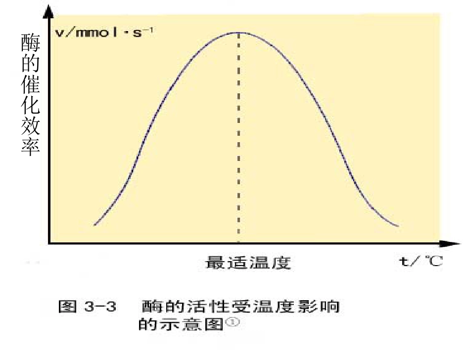 酶的发现、特性、作用_第3页