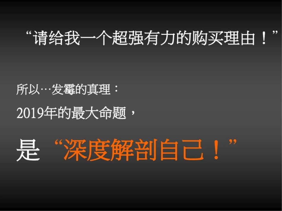 成都仁和春天大道前期推广思路案_第3页