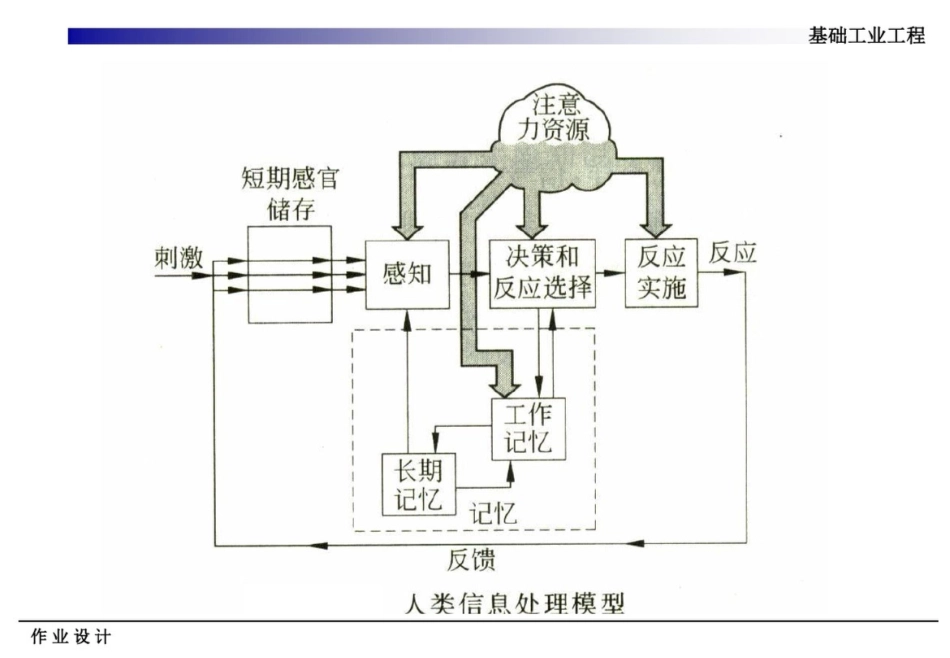 基本概念研究对象和目的人因工程学的形成和发展_第3页