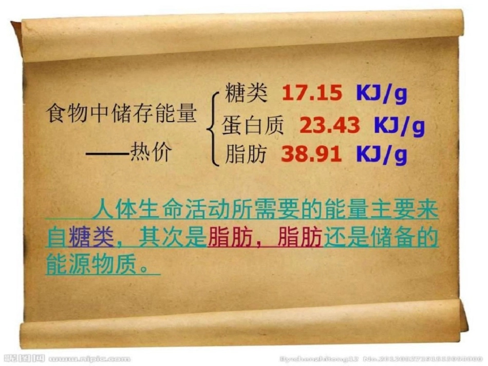 第10章人体的能量供应图文.ppt文档资料_第3页