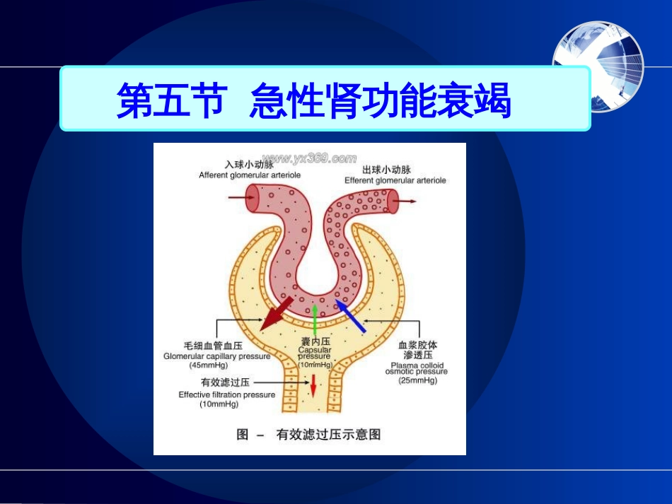 急性肾功能衰竭病人的护理._第2页