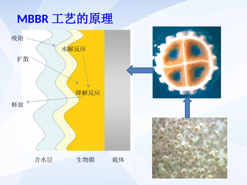 MBBR工艺[共14页]_第2页