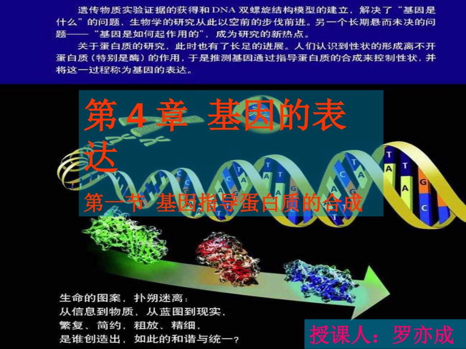 公开课基因指导蛋白质的合成[共36页]_第2页