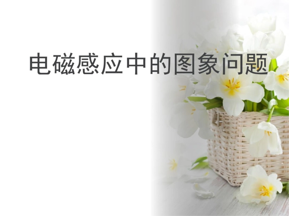 电磁感应综合问题_第1页