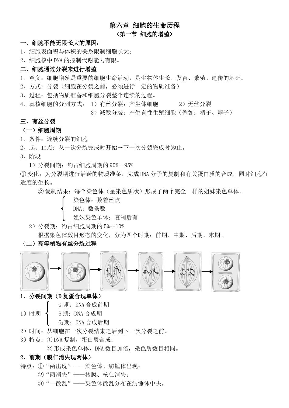 第六章第1节细胞的增殖知识点_第1页