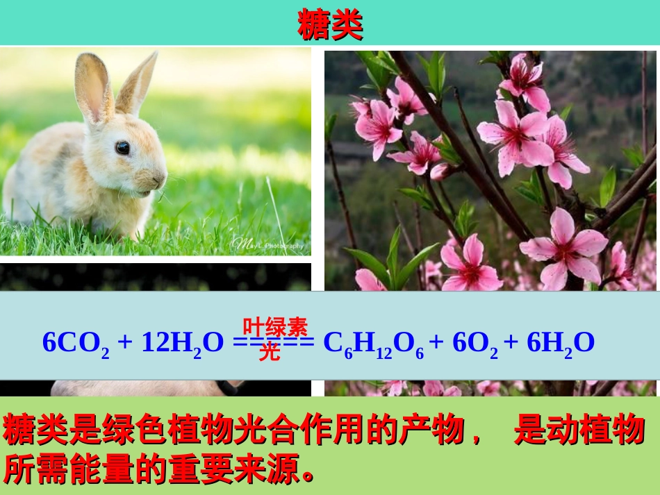 第四章第二节糖类[共40页]_第2页