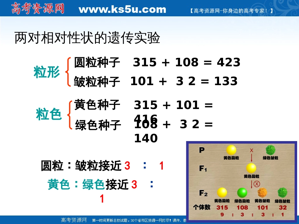 生物：1.2《孟德尔的豌豆杂交实验二》PPT课件新人教版必修2_第3页