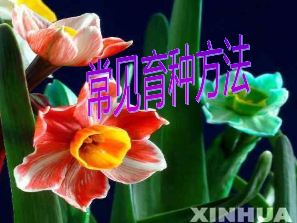 常见育种方法[共10页]_第1页