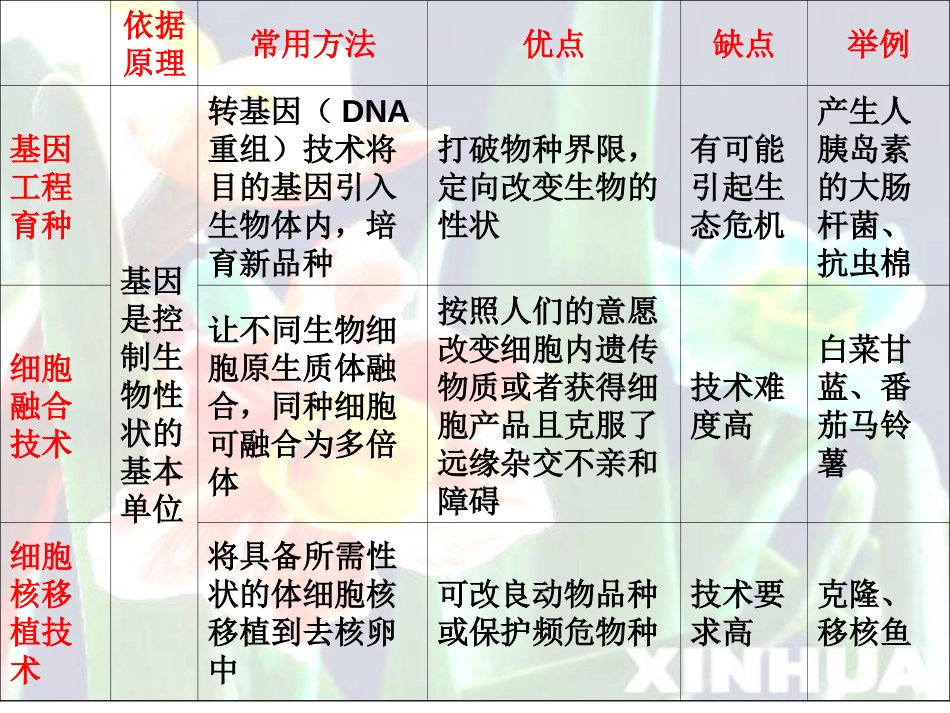 常见育种方法[共10页]_第3页