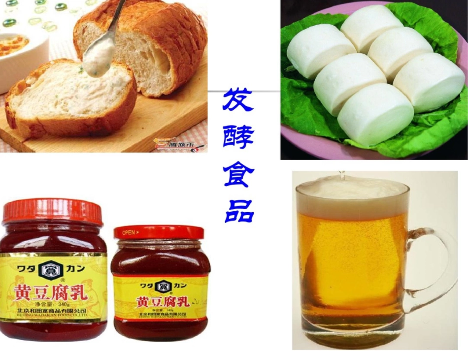 第一节发酵食品的制作_第2页