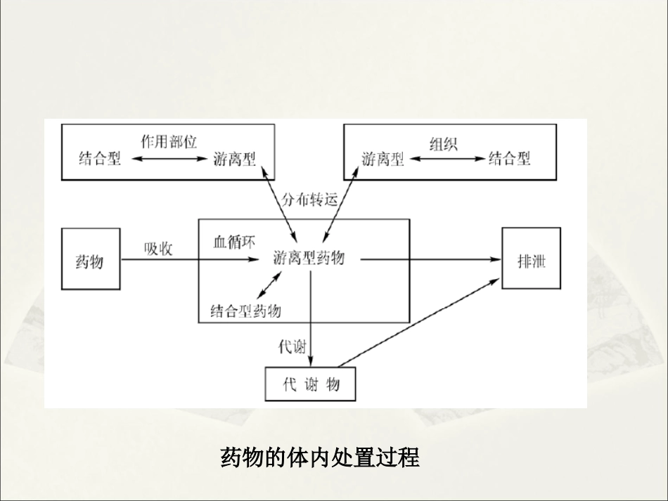 第四章房室模型药物代谢动力学_第3页