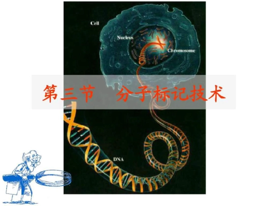 现代分子生物学技术._第3页