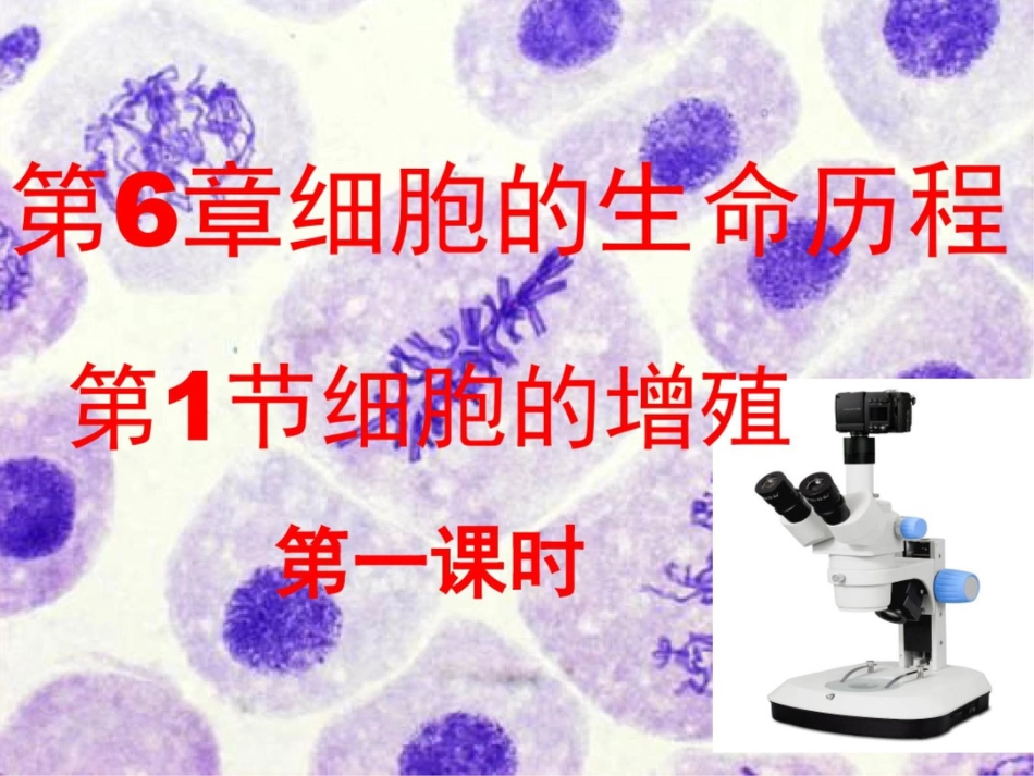 第一节细胞的增殖_第1页
