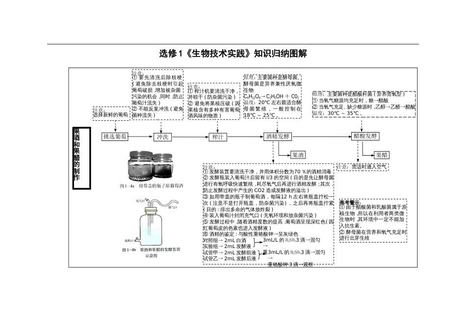 生物技术实践生物选修一知识复习图解[共17页]_第1页