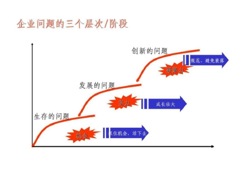 战略人力资源管理体系应用与实践案例_第3页