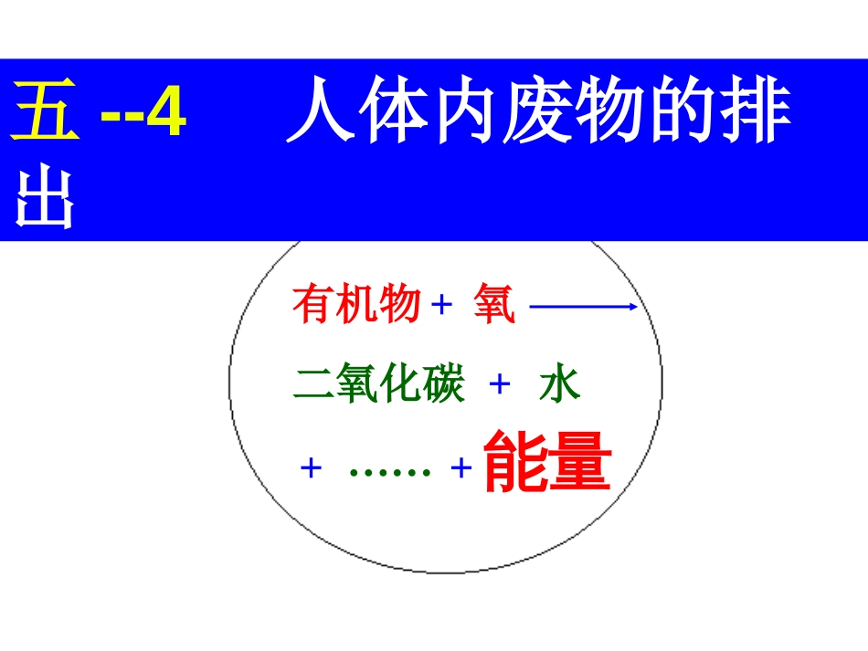 专题五—4人体内废物的排出_第1页