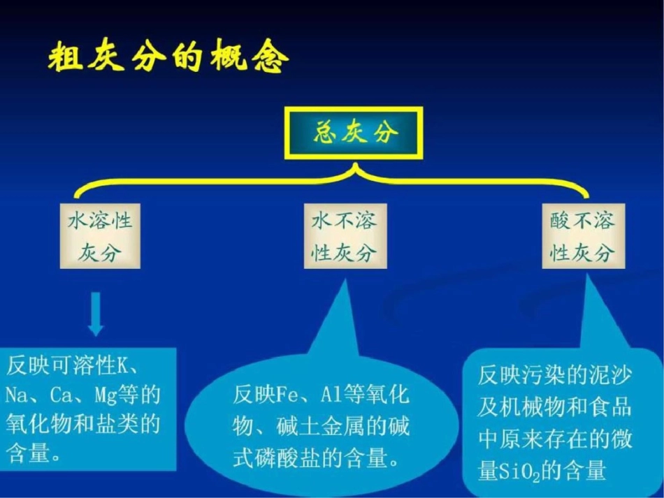 总灰分的测定._第3页