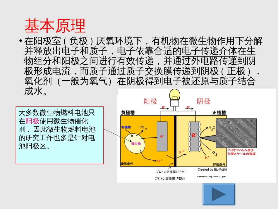 微生物电池改剖析_第3页