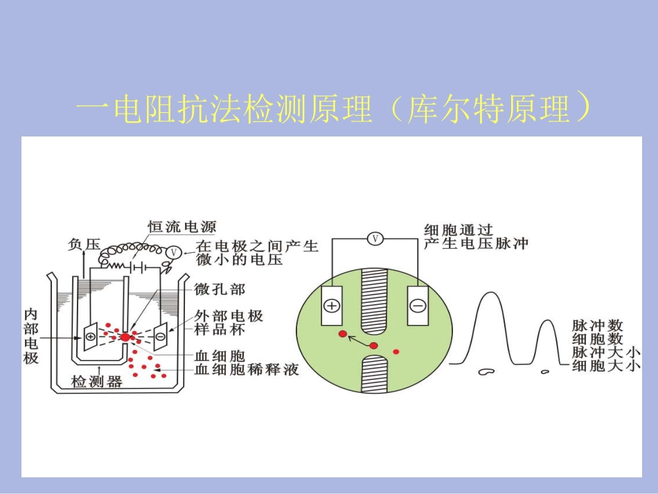 血细胞分析仪检测原理18[21页]_第2页