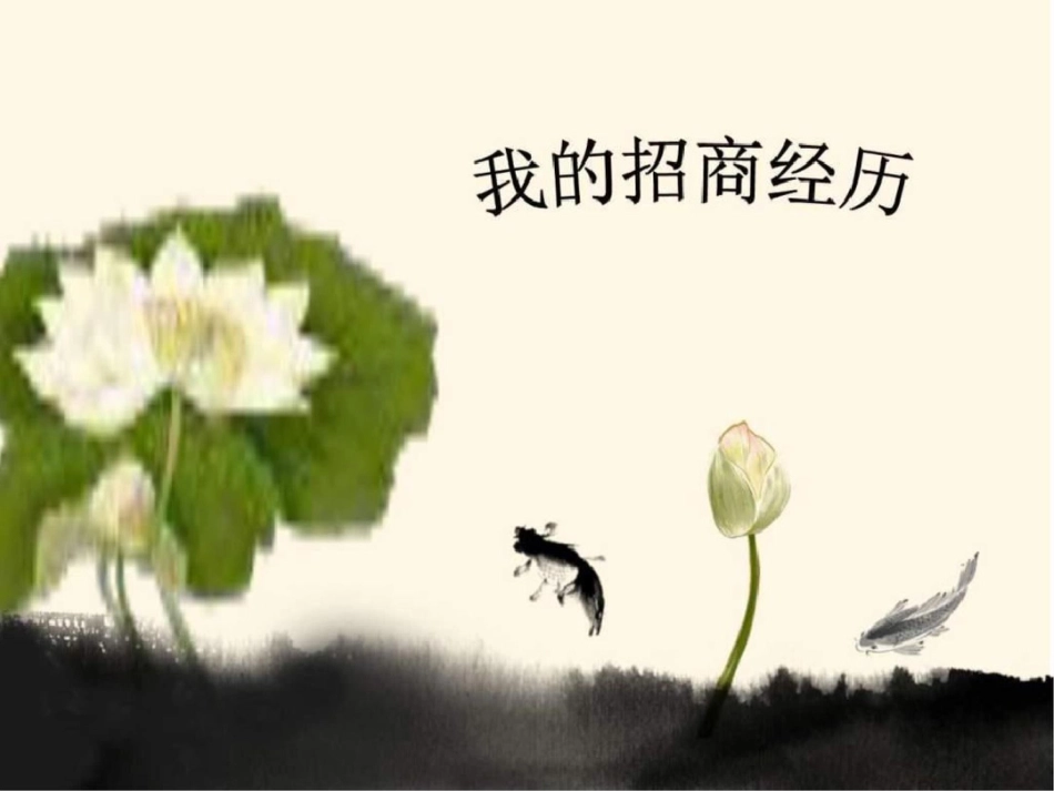 我的招商经历图文._第2页