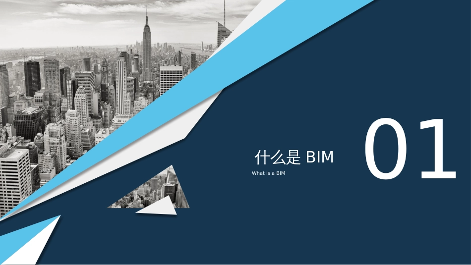 什么是BIM[共32页]_第3页