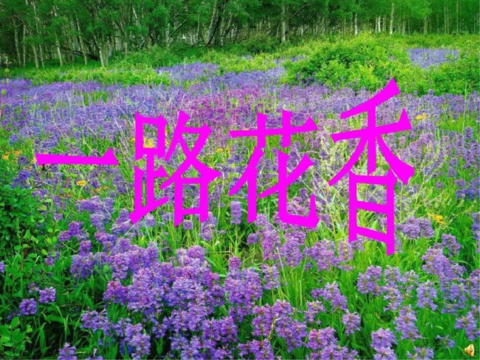 小学四年级语文上册课件一路花香ppt课件4课时图文._第1页