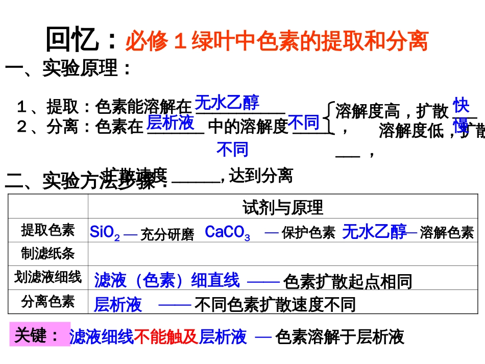 胡萝卜素的提取_第2页