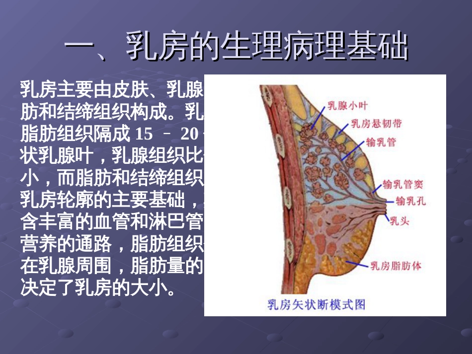 乳房保健ppt课件[共15页]_第3页