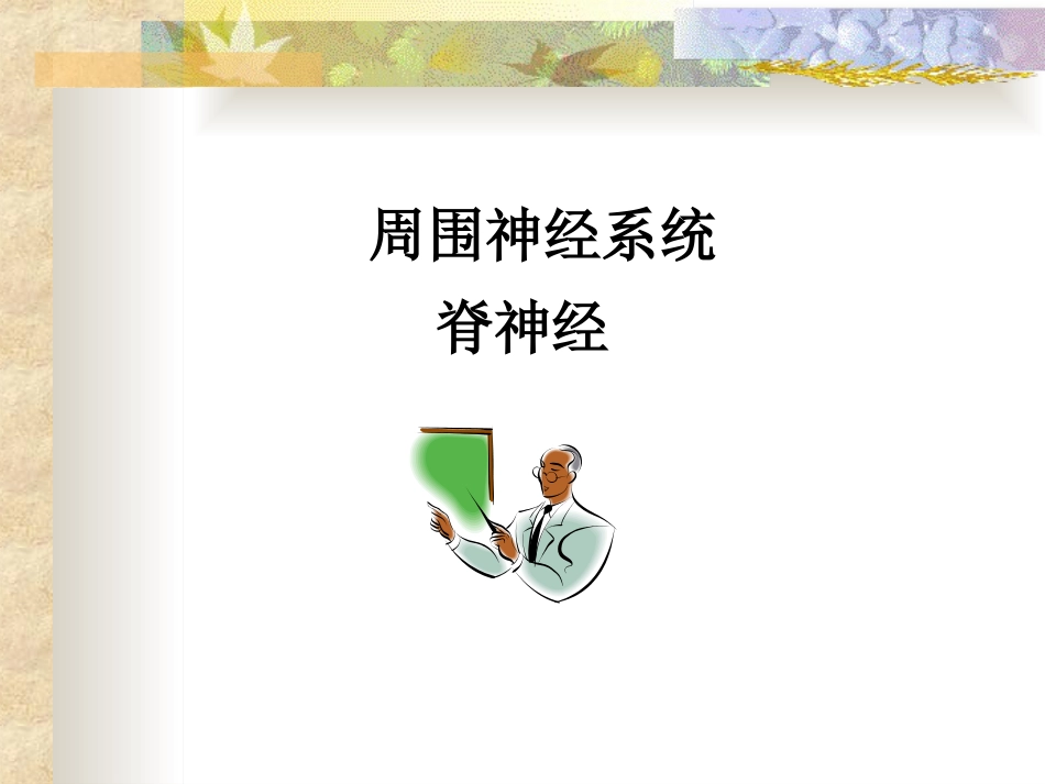 脊神经PPT课件_第1页