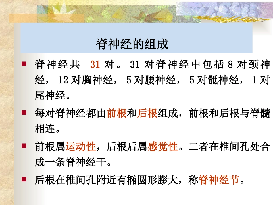 脊神经PPT课件_第2页